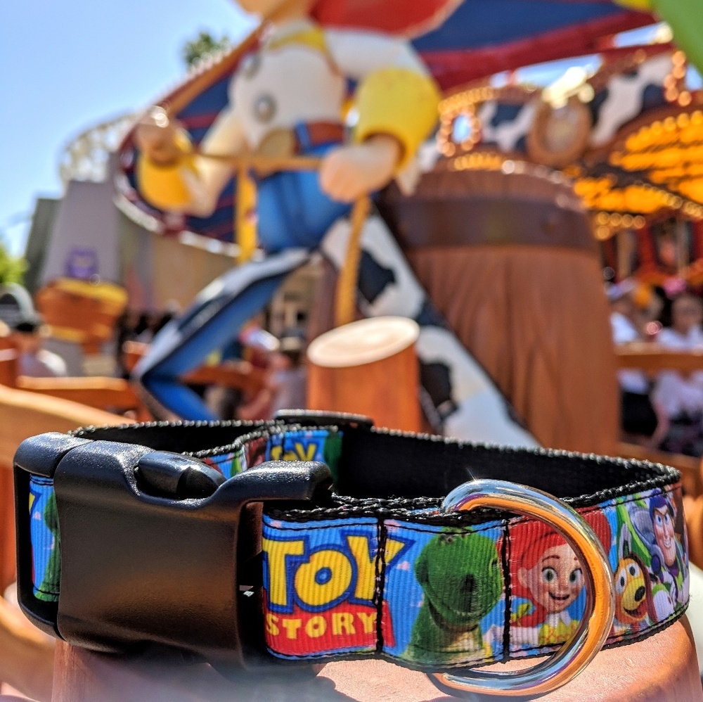 Disney Toy Story dog collar